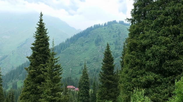 Berglandschaft mit Bergen im Nebel