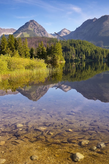 Berglandschaft mit einem See und einem Fisch im Wasser. Slowakei, See Strbske Pleso