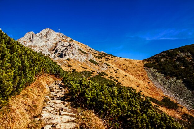 Berglandschaft mit Felsen und Giewont-Spitze