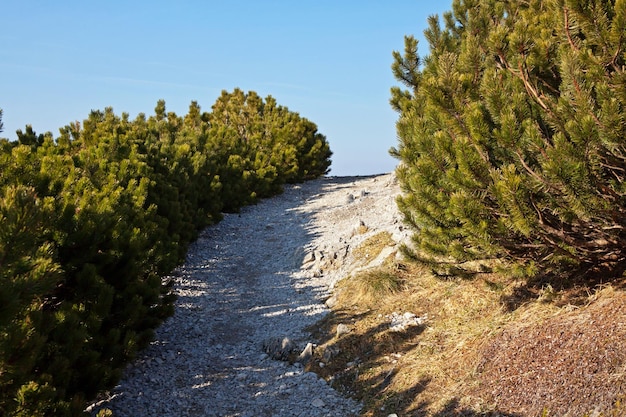 Berglandschaft mit Felsenweg