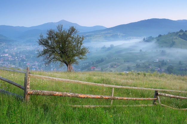 Berglandschaft mit Morgennebel über dem Dorf