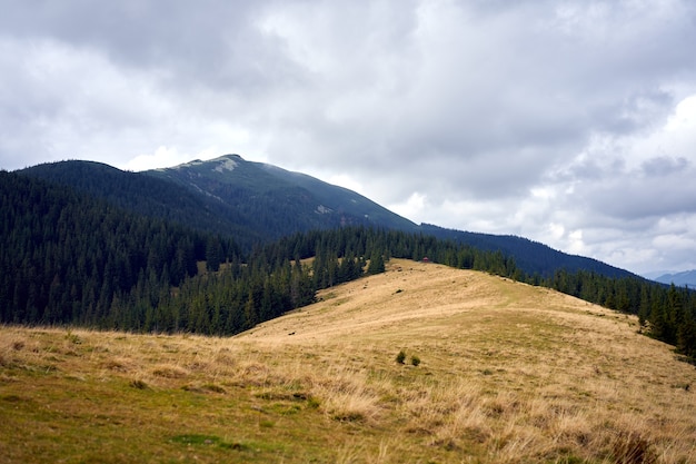 Berglandschaft mit Wolkenhimmel Karpaten Ukraine Schöne Landschaftsansicht