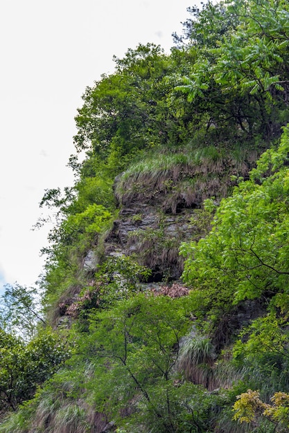 Berglandschaft neben dem Wasserfall