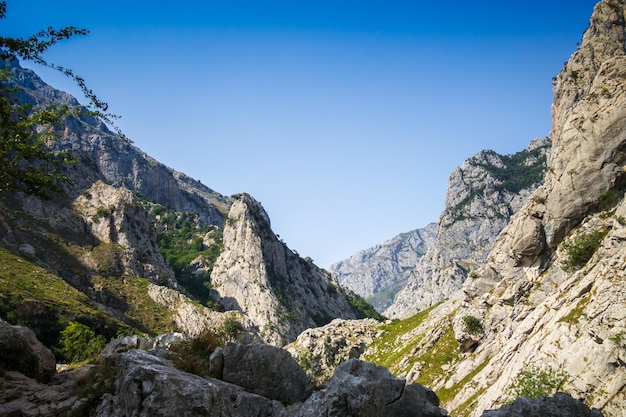 Berglandschaft Picos de Europa Asturien Spanien