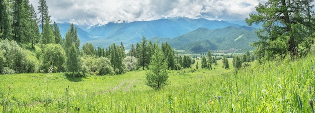 Berglandschaft Sommergrün Wald und Berge in Wolken