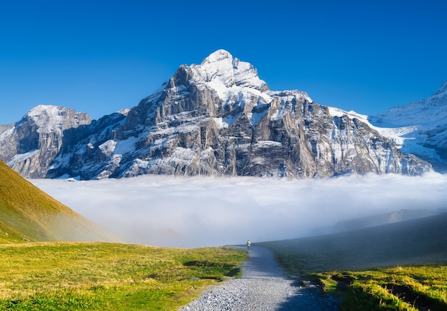 Berglandschaft über den Wolken im Tal Gebirge und klarer blauer Himmel Landschaft im Sommer Reisebild