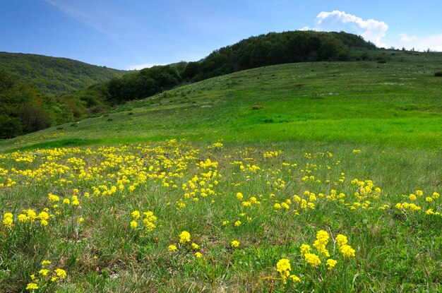 Berglandschaft, Wiese mit grünem Rasen, kleines Dorf und Hügel in der Ferne, weiße Wolken im Himmel