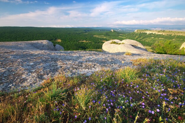 Berglandschaft. Zusammensetzung der Natur.