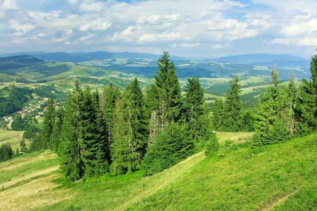 Berglandschaft