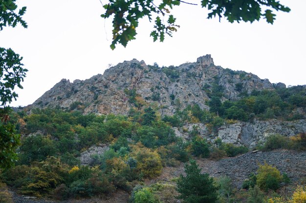 Berglandschaft