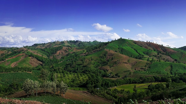 Berglandschaft