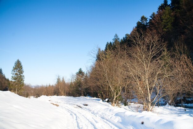 Berglandschaft