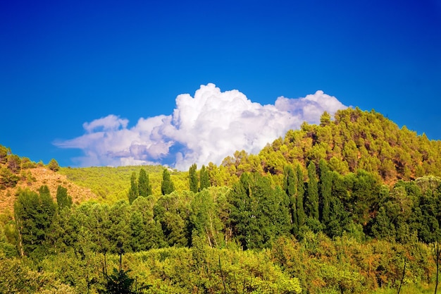 Berglandschaft.