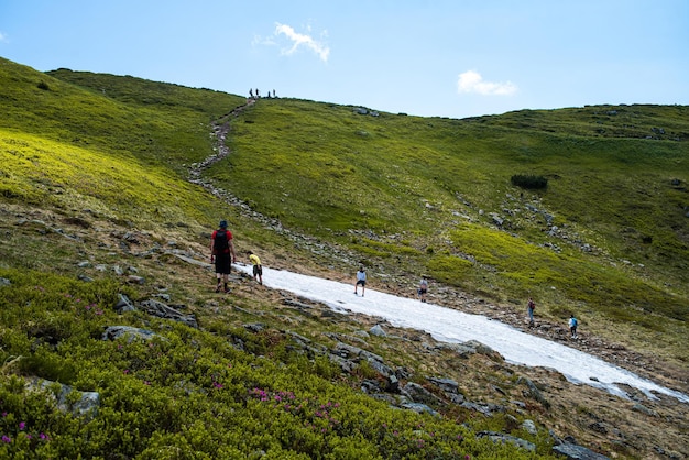 Bergnaturlandschaft. Naturpark