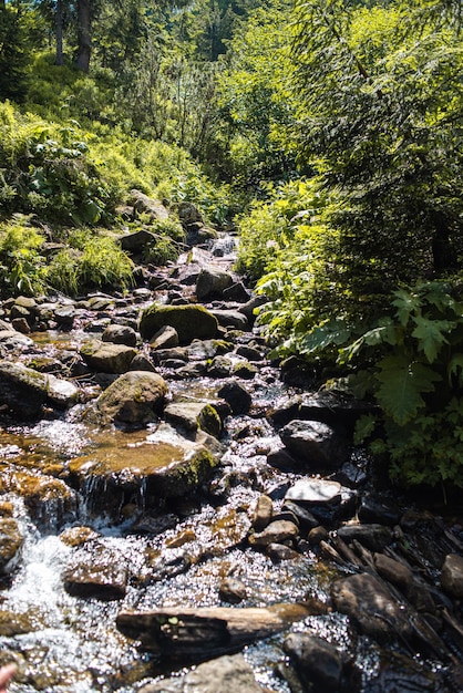 Bergnaturlandschaft. Naturpark