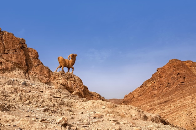 Bergoase Chebik Sahara Wüste Berggipfel in der Wüste mit einer Skulptur einer Bergziege