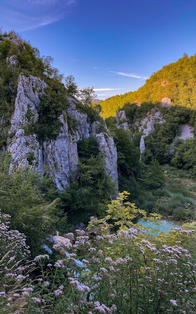 Bergschlucht im blühenden Grün