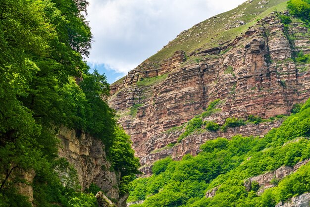 Bergschlucht mit waldbewachsenen Steilhängen