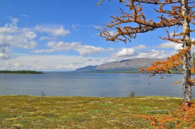 Bergsee auf der Putorana-Hochebene