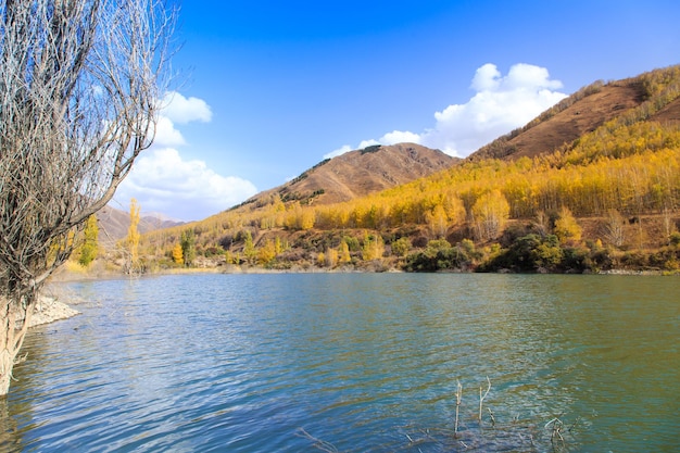 Bergsee mit gelben Bäumen Herbstlandschaft Kirgisistan AkTuz-Schlucht Natürlicher Hintergrund