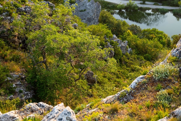 Bergsee mit grauen Felsen, Draufsicht. Landschaft.