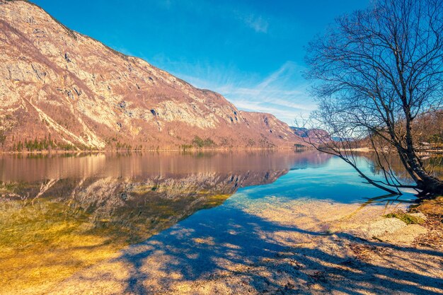 Bergsee mit schöner Reflexion Bohinjer See im zeitigen Frühjahr Slowenien