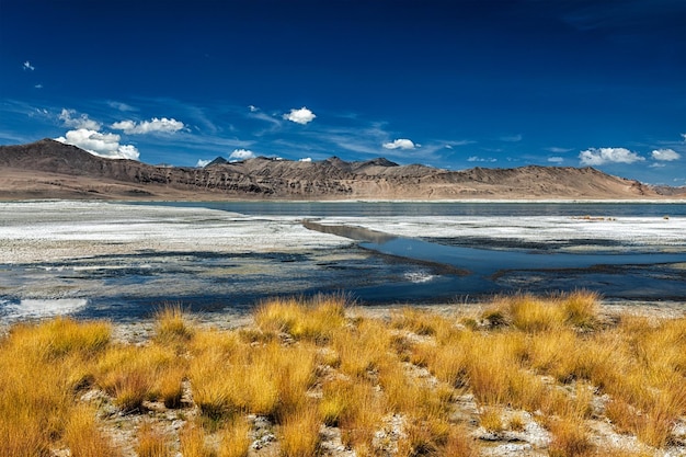 Bergsee Tso Kar im Himalaya