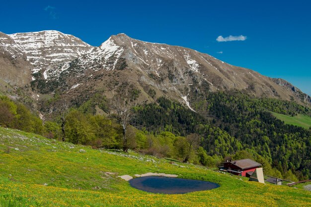 Bergsee umgeben von blühenden