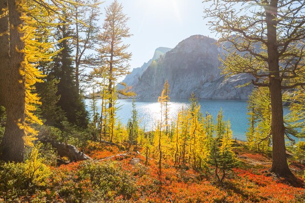 Bergsee