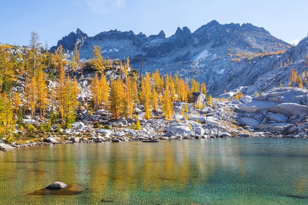 Bergsee