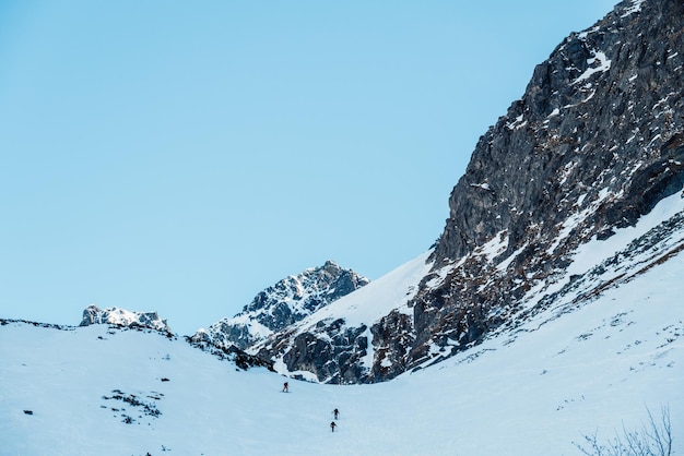 Bergsteiger Backcountry Ski Walking Skialpinist in den Bergen Skitouren in alpiner Landschaft mit schneebedeckten Bäumen Abenteuer Wintersport