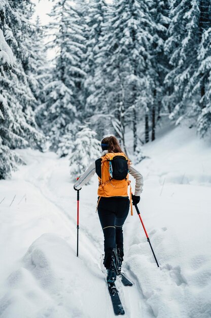 Bergsteiger Backcountry Ski Walking Skialpinist in den Bergen Skitouren in alpiner Landschaft mit schneebedeckten Bäumen Abenteuer Wintersport