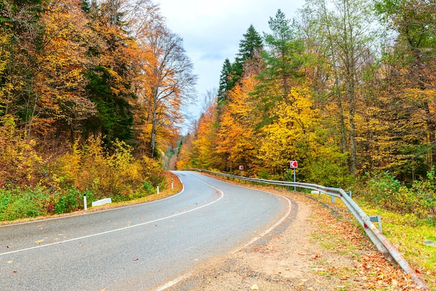 Bergstraße im Herbstwald