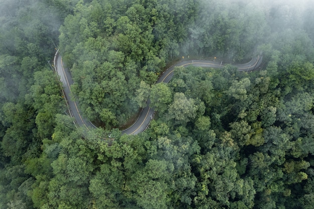 Bergstraße im regnerischen und nebligen Tag, Straße nach Pai