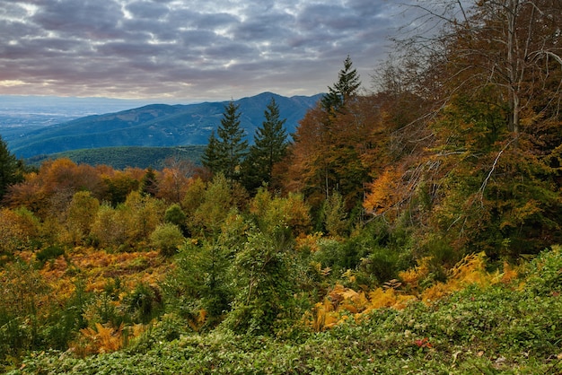 Bergtal bei Sonnenaufgang. Natürliche Sommerlandschaft