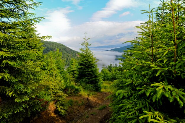 Bergtal Landschaft