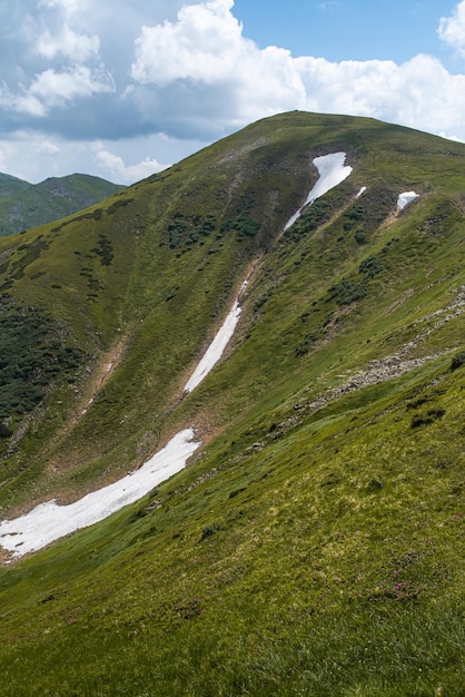 Bergwandern. Schöne Aussicht auf die Berge. Nadelwälder und Almwiesen