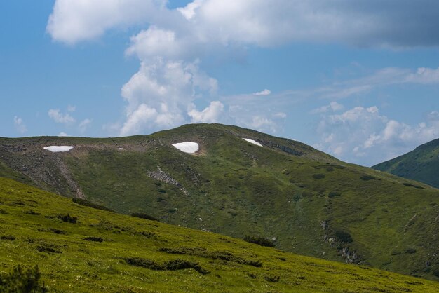 Bergwandern. Schöne Aussicht auf die Berge. Nadelwälder und Almwiesen