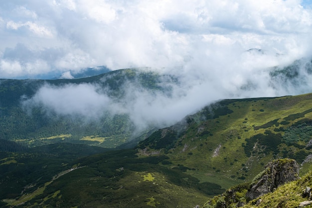 Bergwandern. Schöne Aussicht auf die Berge. Nadelwälder und Almwiesen