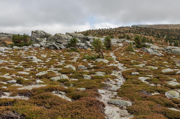 Bergweg aus grauen Steinen und niedriger brauner Vegetation mit Felsen herum