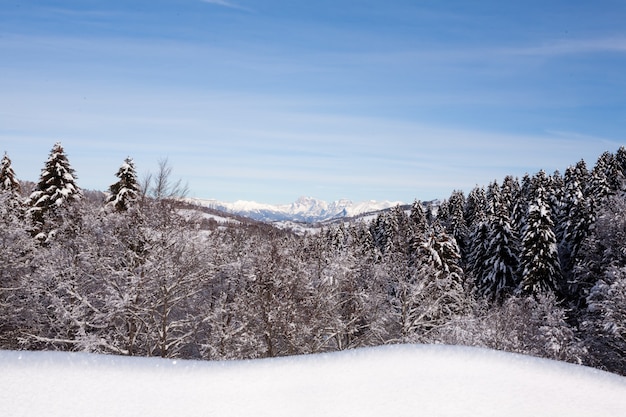 Bergwinterlandschaft mit Schnee