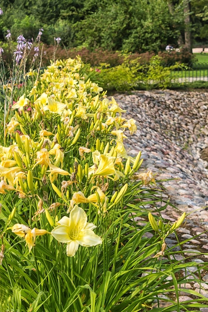 Bernardine Gardens Park im Zentrum von Vilnius