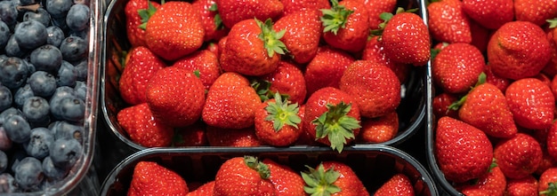 Berry banner Fondo de fresas y arándanos