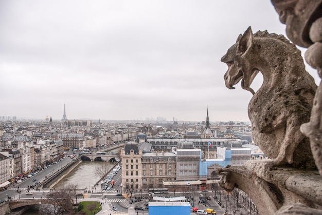 Berühmte Stein Dämonen Wasserspeier und Chimäre mit Paris Stadt auf der Oberfläche.