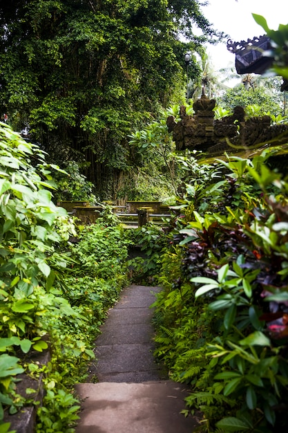 Berühmter Campuhan-Kantenweg mit tropischer Ansicht und Palmen in Ubud, Bali, Indonesien