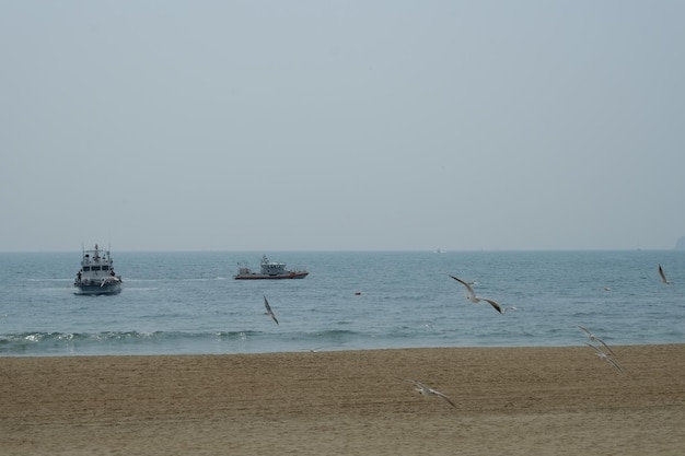 Berühmter haeundae-strand in busan südkorea