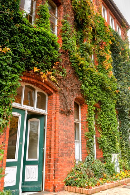 Überwuchertes altes Gebäude in Lübeck, Deutschland