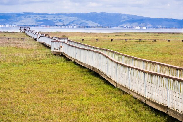 Beschädigter Holzsteg, der über die Sümpfe der südlichen San Francisco Bay Area im Palo Alto Baylands Park in Kalifornien führt