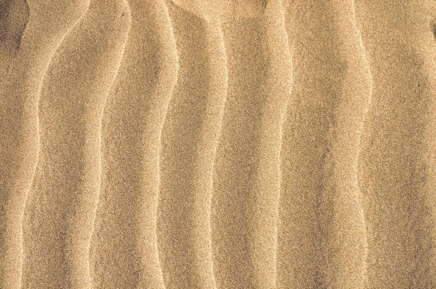 Beschaffenheit des digitalen Bildes des Sandfotobildes in Maspalomas Gran Canaia