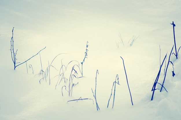 Beschaffenheit des weißen Schnees Natürlicher Winterhintergrund mit Schnee